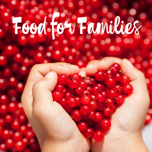 well child center food for families donations 012523
